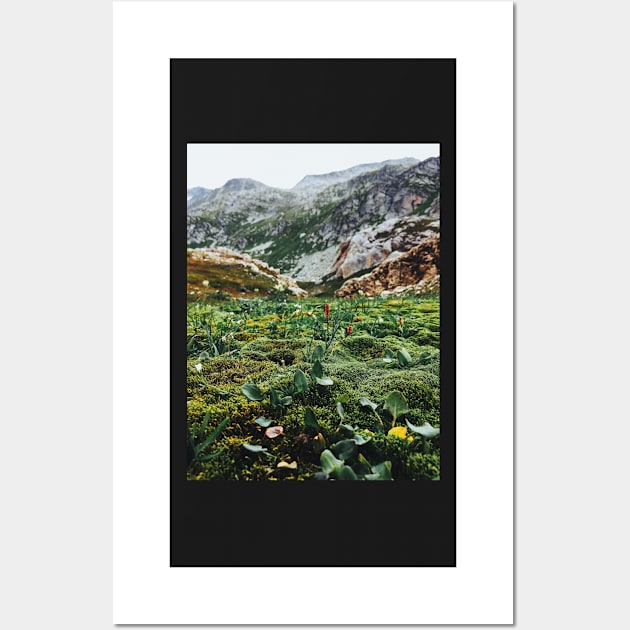 Swiss Alpine Moss Meadow Wall Art by visualspectrum